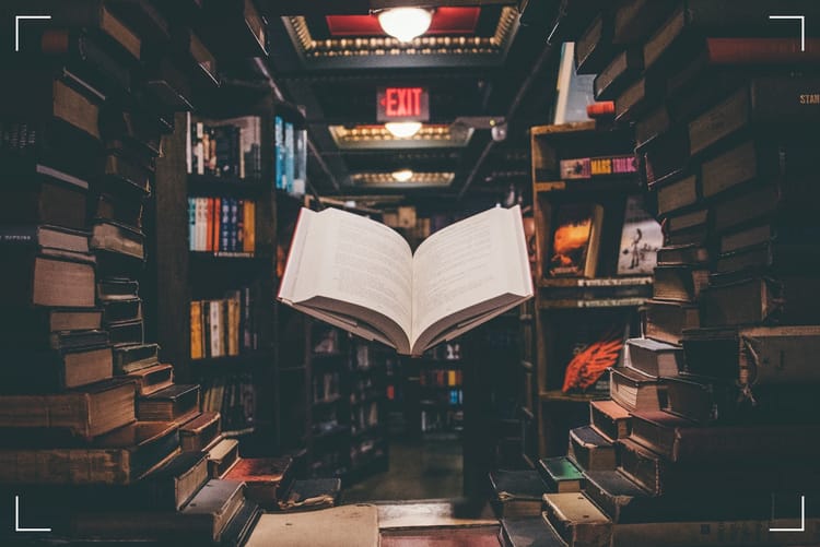 Books
                    